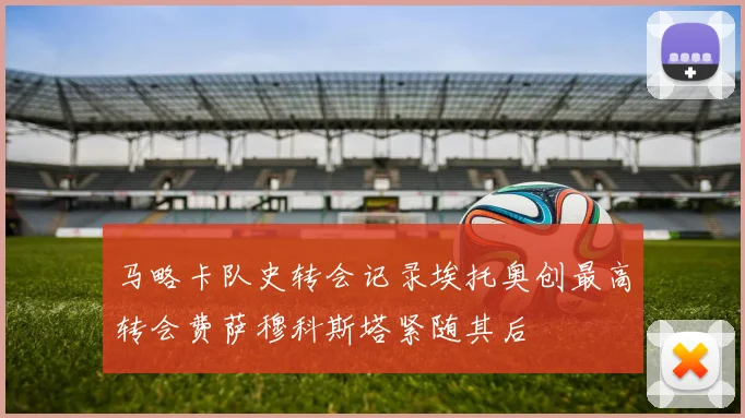 马略卡队史转会记录埃托奥创最高转会费萨穆科斯塔紧随其后